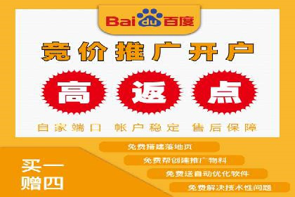 百度竞价广告投放实战案例分享